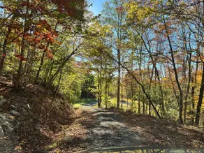 Lily Pad Hideaway on 19 Acres - Image 5