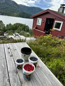 Cabin by the lake with a lovely view! - Image 4