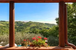 Stunning view on the Umbrian green sea|Assisi 20km - Image 2