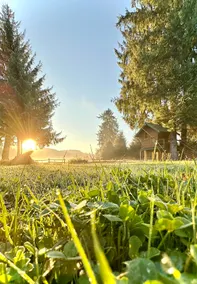 AlderMoss • Private River, Treehouse & Trails - Image 5