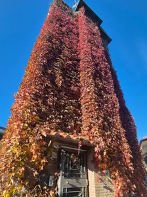 Secret Tower in Rome Panoramic 6 floors Experience - Image 4