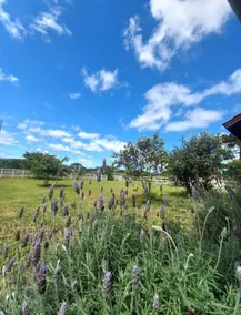 Sol Poente Country House - Image 4