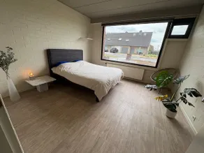 The Old Practice in Flemish Fields, Kortrijk 7 km - Image 3