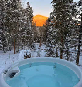 Log cabin with mountain views & hot tub near RMNP - Image 3