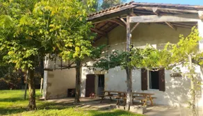 Family home in the middle of the forest with swimming pool - Image 3