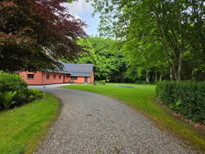 Childfriendly home in the woods - Image 3