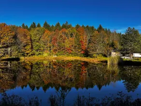 Serenity Pines Lodge - Image 4