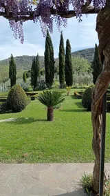 Casale Renieri – Petronilla - Image 3