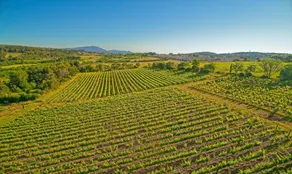 The Carignan Gîte – Getaway in the heart of a vineyard - Image 4