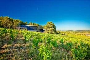 The Carignan Gîte – Getaway in the heart of a vineyard - Image 3
