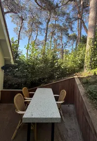 Luxe tiny house BnB Dante. 5 fiets min Afoort CS - Image 4