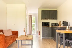 Tiny house XL - Vakantiepark De Kremmer - Image 2