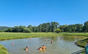 Vacation home: Natural idyll with swimming lake - Image 2