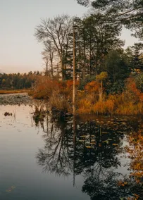 Catskill Cabin Getaway- Near Livingston Manor - Image 4