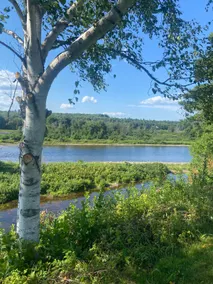River House Oasis- NB trail/fishing access - Image 2