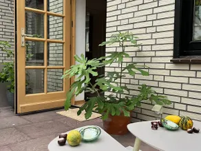 Mariaglück vacation home - Image 4