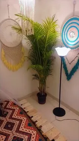 Hippie Bohemian House - Image 5
