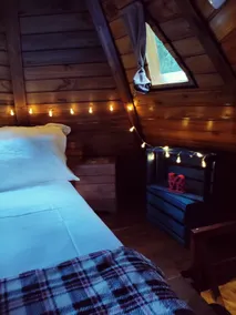 Diamond Cabin in the Forest | Hot Tub | AC | Fire - Image 4
