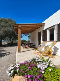 Sa Vinya Casa de Campo - Image 2