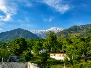 Yol Retreat- 2BHK, 5 Car Parking, Cook, Peak Views - Image 5