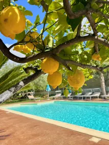 Bekväm villa med pool av avkoppling och kul. - Image 2