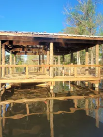 Piece of Paradise on the bend - Image 3