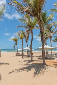 Stunning Sea View and direct access to the beach! - Image 2