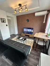 Newly built property! Within walking distance of Chitose Station, free Wi-Fi, Netflix available, coin parking lot right in front, etc. - Image 4