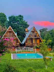 Dreamwoods by Viraasat-E-Bir - Image 3