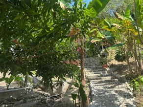 Orchid Bungalow - Image 5