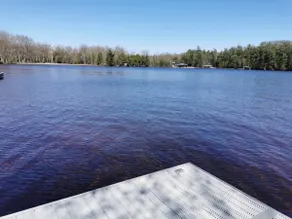 Sunny Lake Muskoka Waterfront Cottage - Image 3