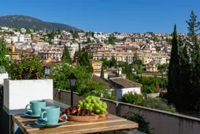 Spacious apartment with large terrace and views - Image 4