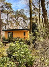 Stay in the Bosuil - Image 2