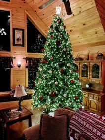Sleep 14, Hot Tub, Saratoga, Sacandaga, Fireplace - Image 4