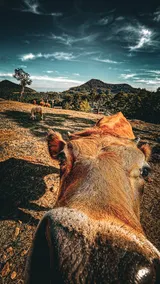 Encantos do Vale Ranch - Image 5