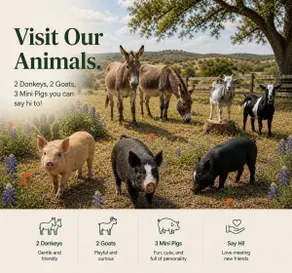 Spacious Home, Friendly Animals, Live Tree Atrium - Image 5