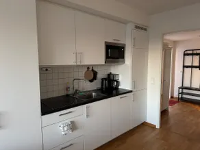 Odelsvegen - Image 5