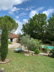 Le vieux chêne - Image 3