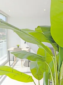 Deluxe Loft, Bright, Parking and Pool - A/C - Image 3