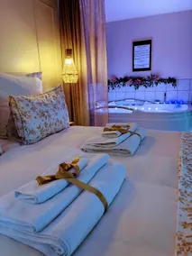 Cozy lodging for 2 or 4 people with spa garden view - Image 2