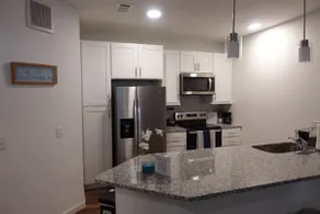 Cozy 1BR Near NRG & Med Center + Free Parking - Image 4