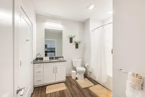 The Hunter: Comfortable • Bright • Amenities! - Image 4