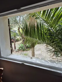 Independent air-conditioned accommodation with exotic garden - Image 3