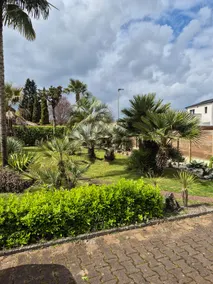 Independent air-conditioned accommodation with exotic garden - Image 4