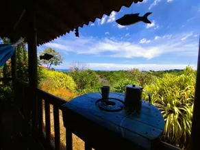 Badolina Montezuma – Jungle Views & Climbing - Image 5