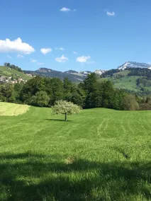 Mountain view idyll - close to nature & cozy - Image 3