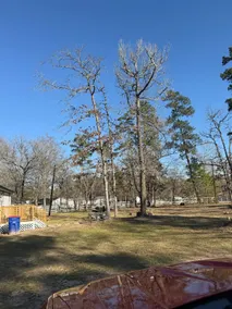 Cozy house in the outskirts of Houston - Image 5