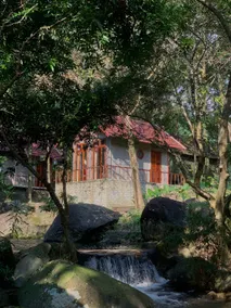 Forest Stay & Highland Culture in Danang - Image 3
