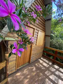 Exclusive| Cabana+Sunrise+ Pool+Waterfall - Image 3