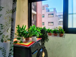 #3Rooms#3QueenBeds#PrivateUse#Line2#AirPurifier#Humidifier#AntibacterialBedding#HongdaeGangnam20Minutes#SeoulTrip#Restaurants - Image 5